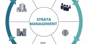 Strata Levies