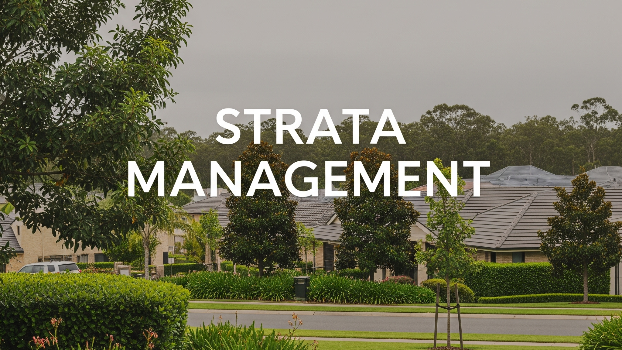Strata Management